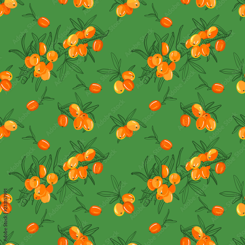 Sea buckthorn branch seamless pattern. Hand drawn berry illustration color and sketch. Sketch style. Elements for menu, greeting cards, wrapping paper, cosmetics packaging, posters etc