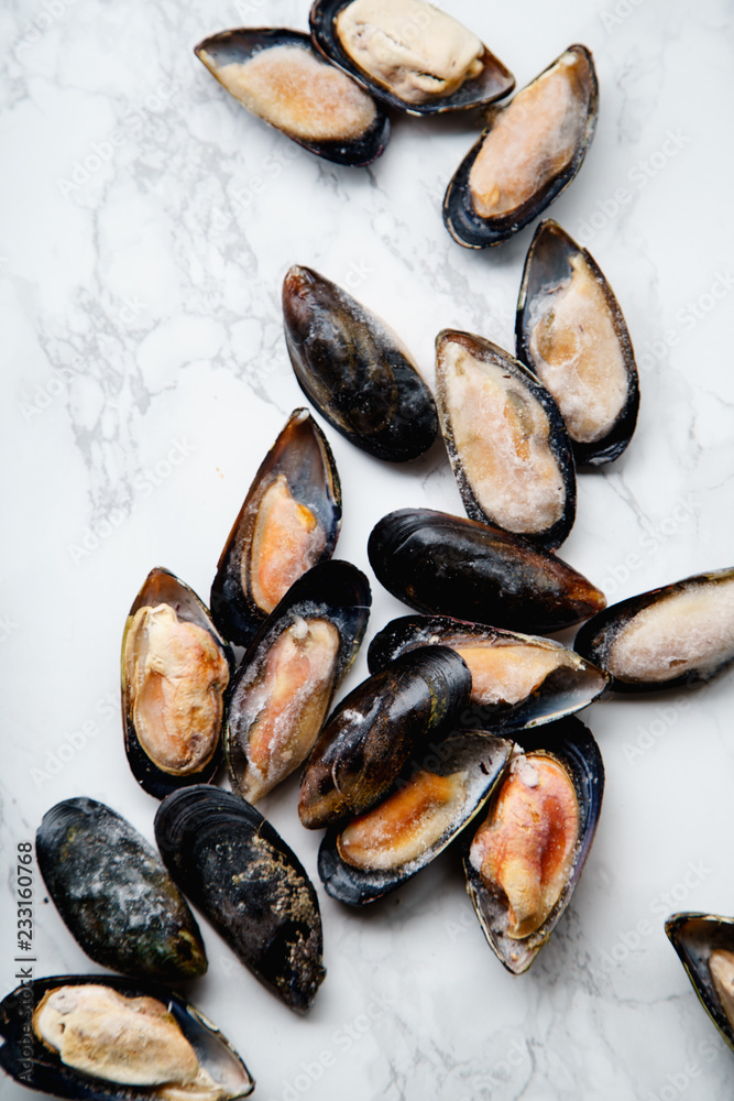 Top view with frozen mussels on white marble background Top view with frozen mussels on white marble background
