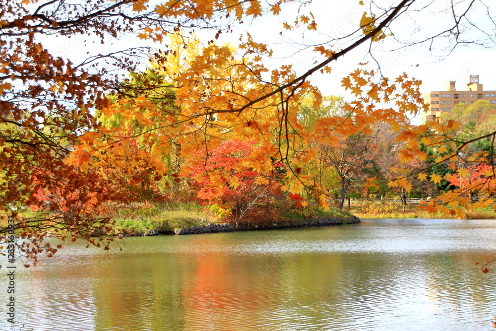 北海道、札幌、中島公園の秋の風景