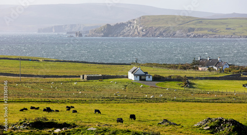 A view across farmland on Bressay to Mainland, Shetland, Scotland, UK. photo