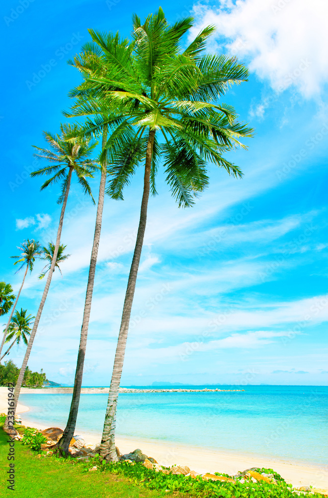 Beautiful tropical white beach and coconut palm trees. Holiday and vacation concept.