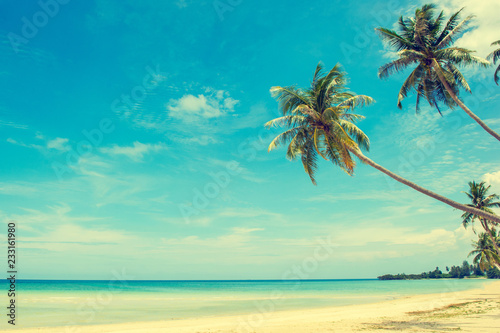 Fototapeta Naklejka Na Ścianę i Meble -  Beautiful beach. View of nice tropical beach with palms around. Holiday and vacation concept. Tropical beach. Beautiful tropical island.