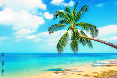 Fototapeta Naklejka Na Ścianę i Meble -  Beautiful Maldive beach. View of nice tropical beach with palms around. Holiday and Vacation concept