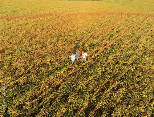 Aerial view of three farmers standing in a field examining soybean crop.