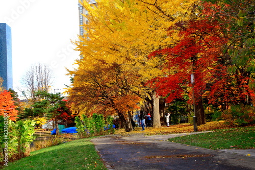 北海道、札幌、中島公園の秋の風景