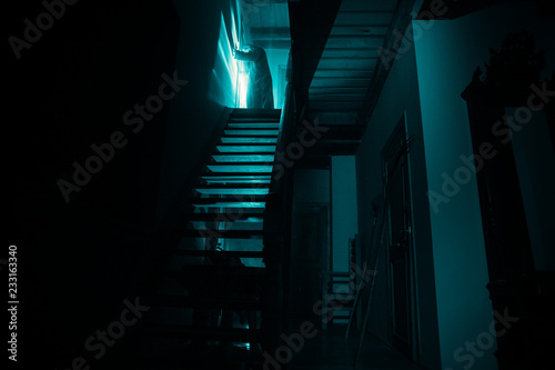 Inside of old creepy abandoned mansion. Staircase and colonnade. Silhouette of horror ghost standing on castle stairs to the basement. Spooky dungeon stone stairs in old castle with light.