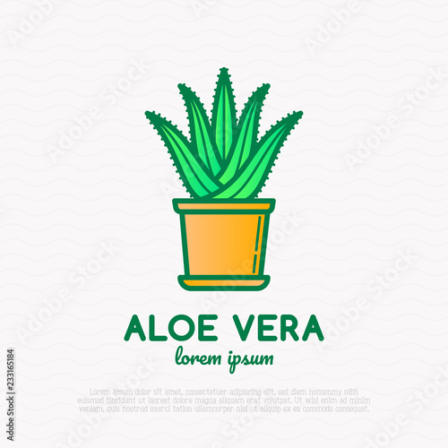 Succulent Aloe vera in pot. Thin line icon. Modern vector illustration of houseplant.