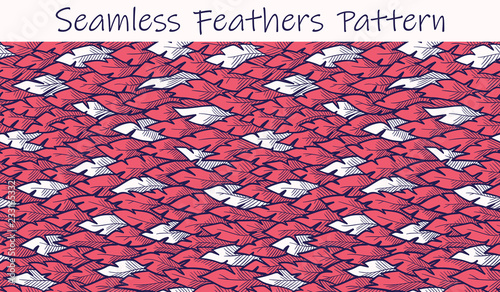Plumage pattern. White feathers on a background of red feathers. Colorful vector illustration of seamless plumage pattern in hand drawn style. Element for your design, textile, wrapping, wallpaper.