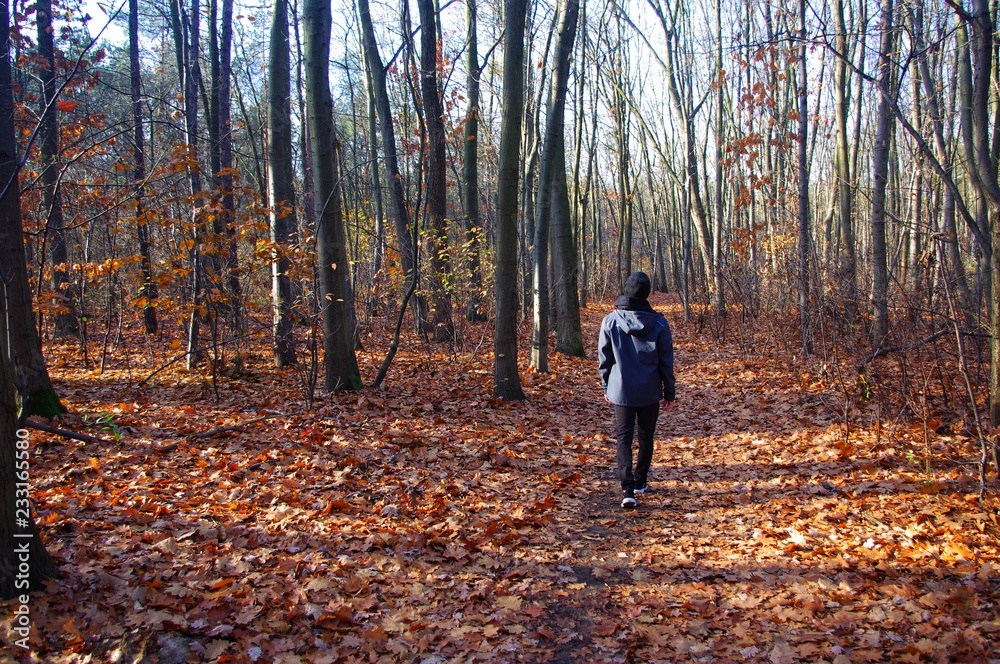 Young adult traversing autumn forest