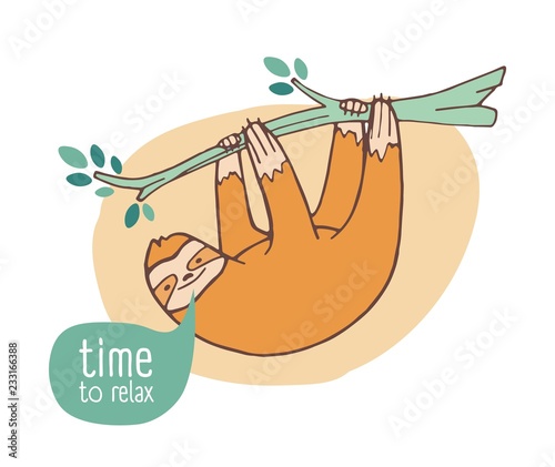 Funny happy sloth hanging from branch. Cute lazy wild exotic animal relaxing ...