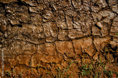 Dry soil texture and background. Brown soil background. Abstract ground. Natural abstraction. Clay. Ocher. Green Grass. Cracked soil background