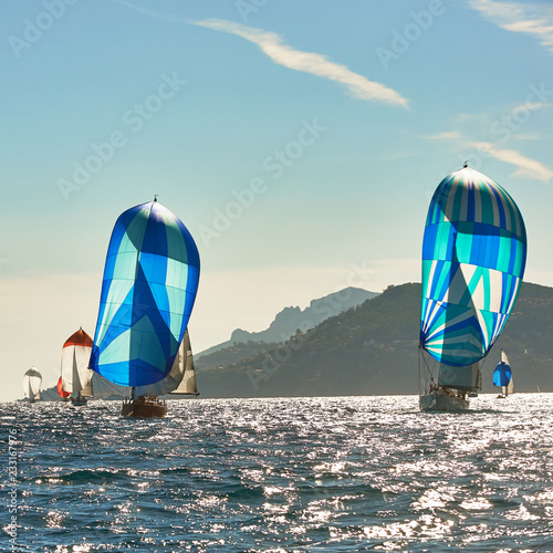 Sailing yachts under sail with spinnakers at the regatta