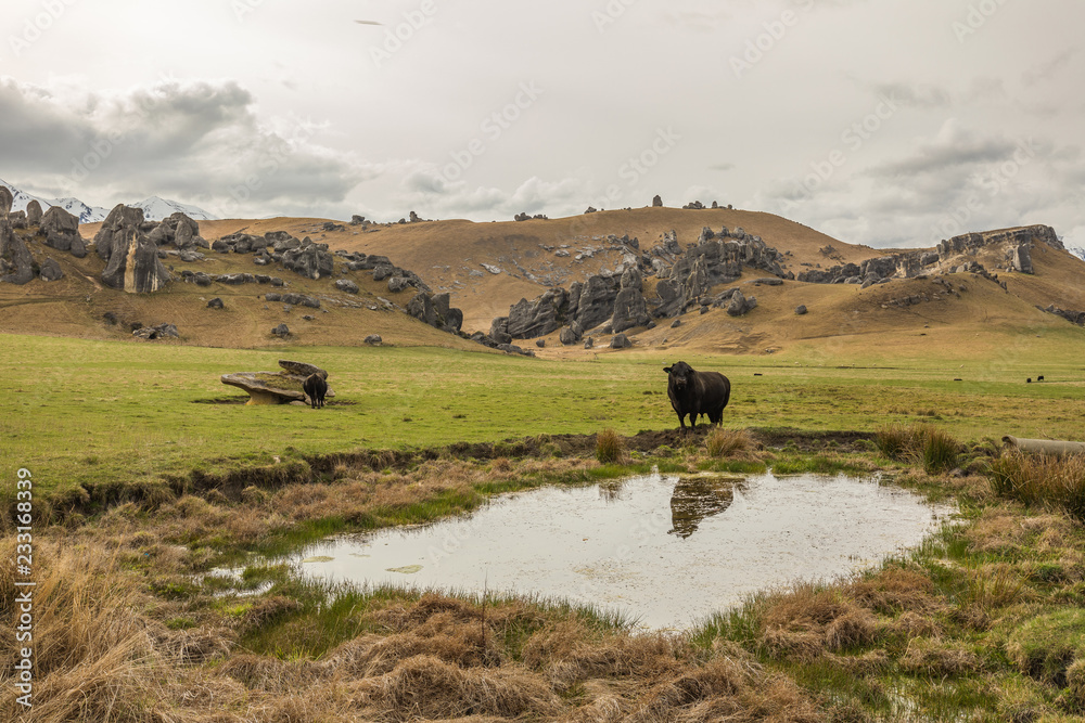 Obraz premium The Castle Hill Conservation Area or Kura Tawhiti, Arthur's pass, Limestone rock formations, Alps, South island, New Zealand
