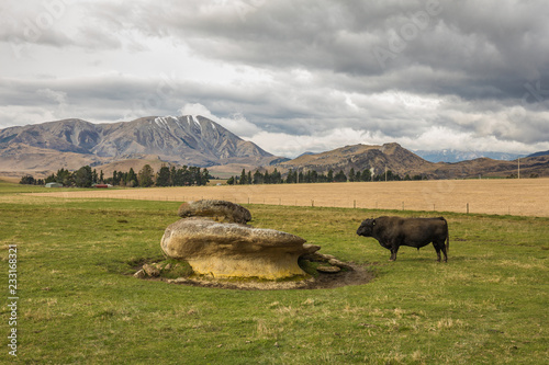 The Castle Hill Conservation Area or  Kura Tawhiti, Arthur's pass, Limestone rock formations, Alps, South island, New Zealand photo