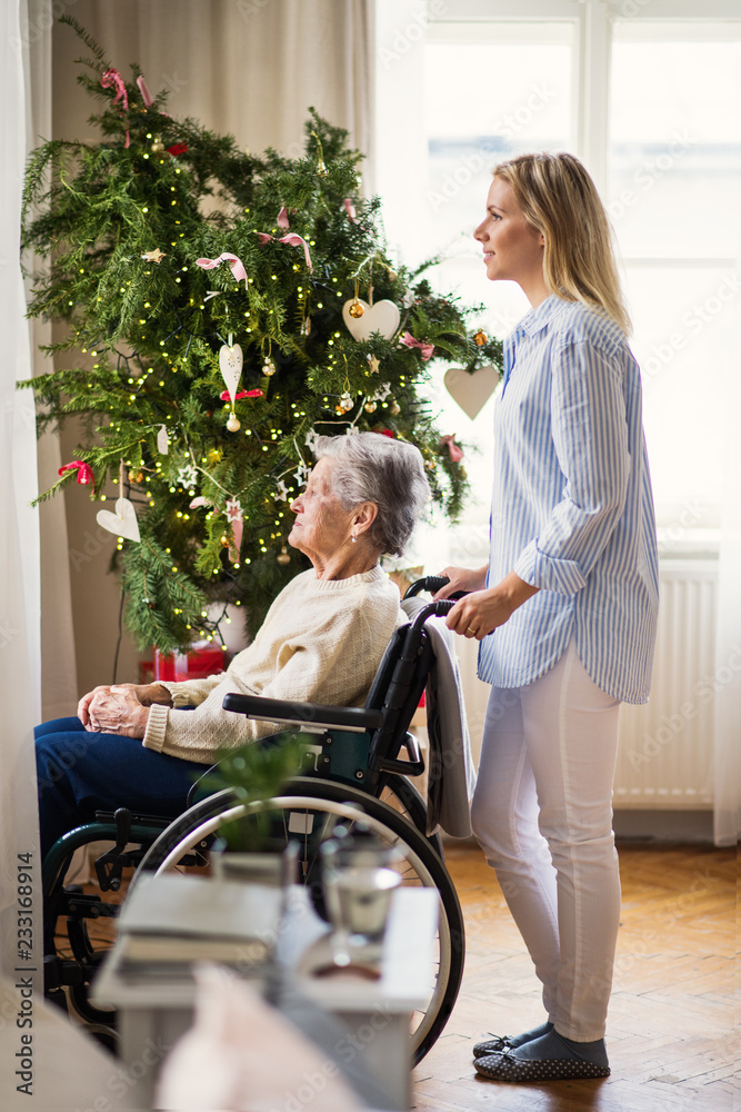 A senior woman in wheelchair with a health visitor at home at Christmas time. A senior woman in wheelchair with a health visitor at home at Christmas time.