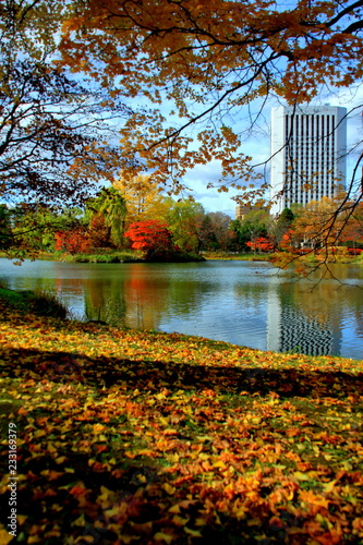 北海道、札幌、中島公園の秋の風景