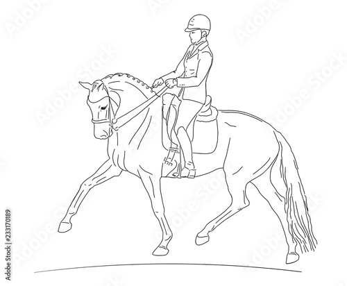 Fototapeta Naklejka Na Ścianę i Meble -  Equestrian sport, dressage. Vector illustration of a rider on a horse.