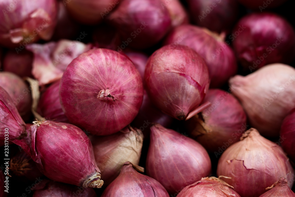Harvested red onions in container Harvested red onions in container