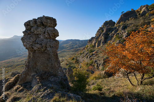 Beautiful view in the Valley of stone ghosts in the mountains Demerdzhi and yellow tree in the autumn Crimea