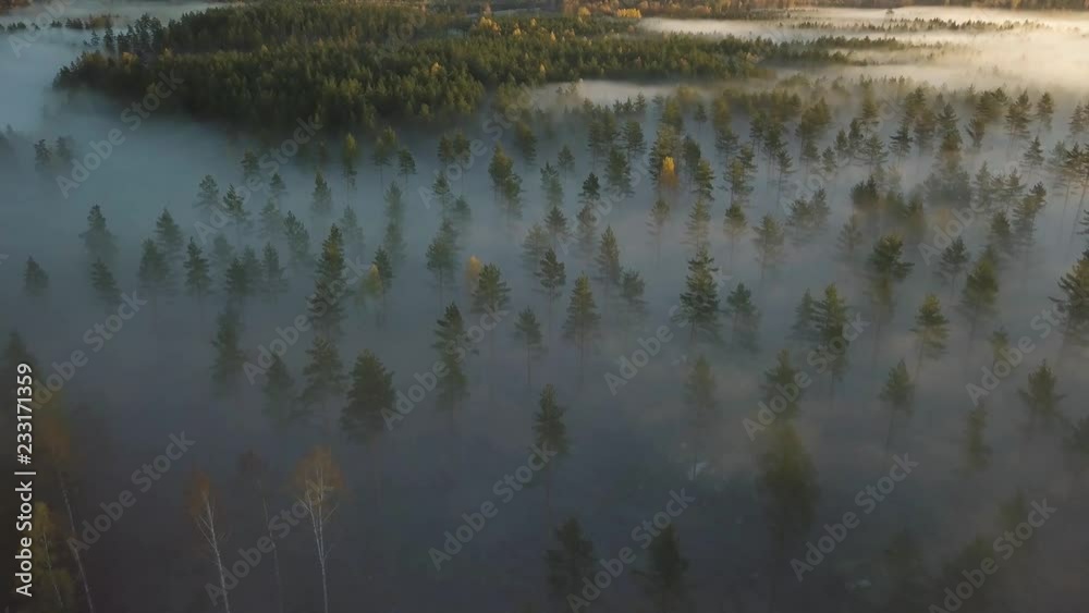 Aerial - Autumn misty morgning in sweden forest. sunrise hitting the trees. big lake in the middle. flying above the fog. 4k