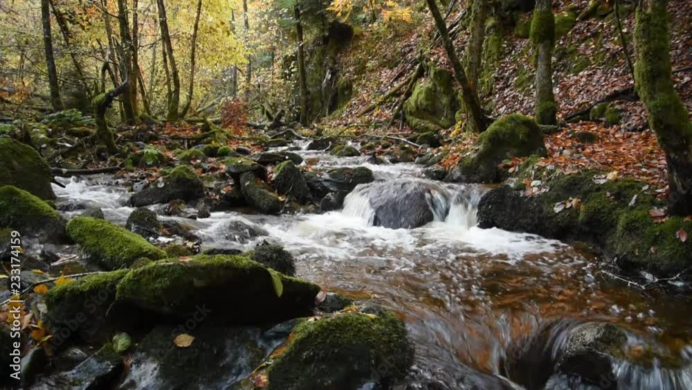 Small mountain river in autumn forest Small mountain river in autumn forest