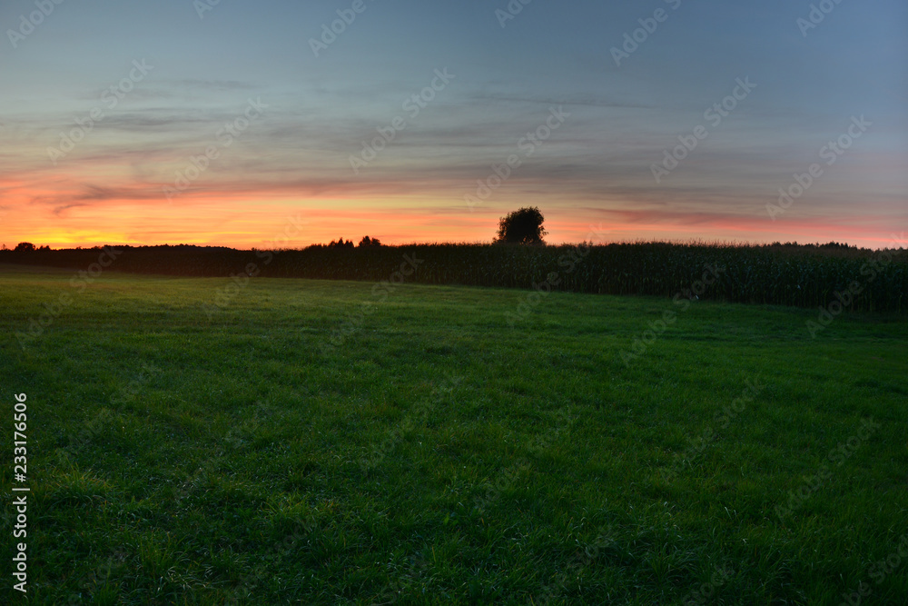 Green meadow and sky after sunset Green meadow and sky after sunset