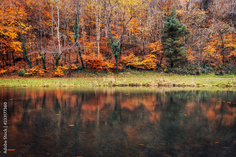 Obraz premium Forest in beautiful fall autumn colors reflected in the still waters of a calm lake in Wales, UK