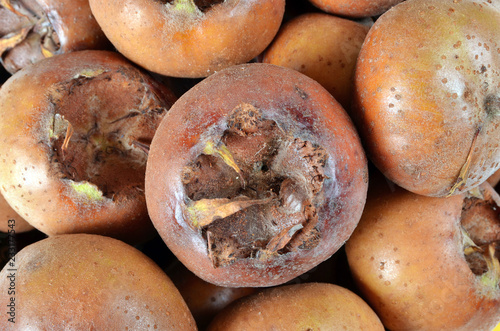 fresh organic medlars, background