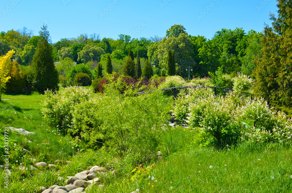 Spring Nature. Beautiful Landscape. Park with Green Grass and Trees
