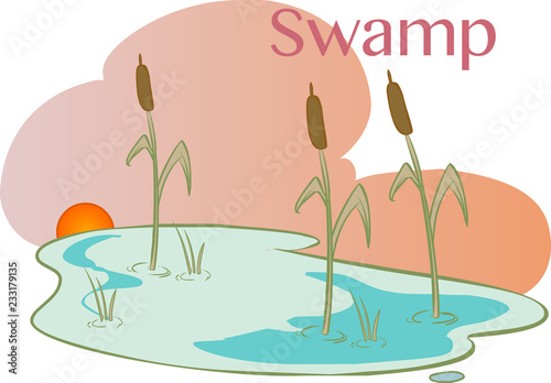 Fotografi vector Illustration of a  Bog