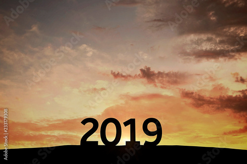 2019 new year silhouete against sunset sky. 3D Rendering