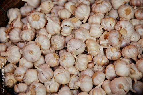 Heap of garlic 