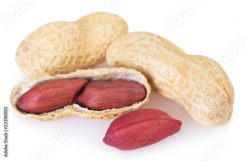 Peanut on white background