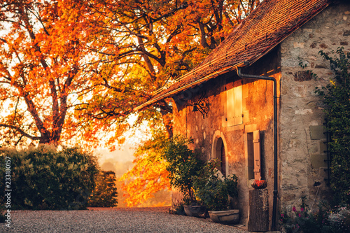 Fall sunset  magic golden light over old small cosy house