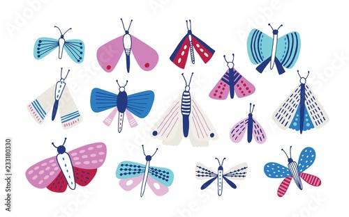Collection of moths of different types and sizes isolated on white background...