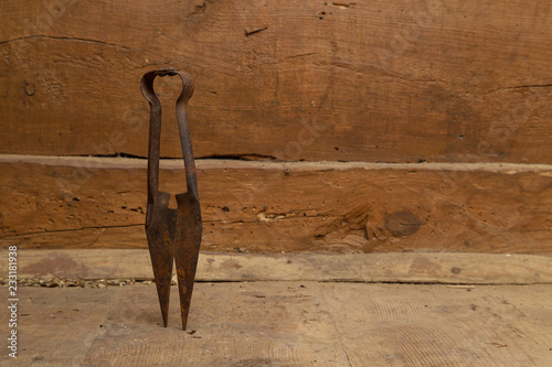 Old, metal shears for cutting sheep standing on a wooden floor on a background of a wall from boards.
