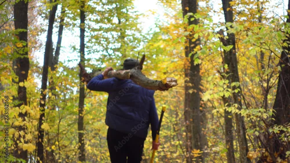 Bearded man in the autumn in the woods with an ax. Portrait of a man with an ax and a log in the forest.
Bearded man in the autumn in the woods with an ax. Portrait of a man with an ax and a log in the forest.
