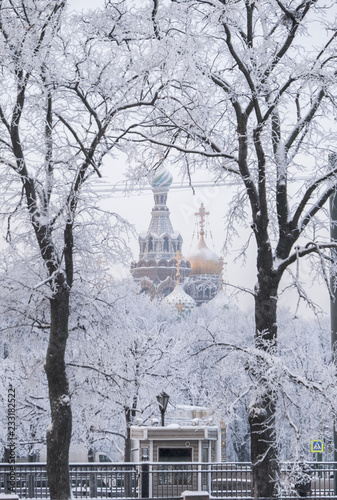 Russian Winter. The historical and tourist center of St. Petersburg. Temple of the Savior on the Blood. View of the temple through the Mikhailovsky Garden.