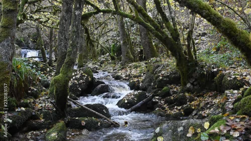 Small mountain river in autumn forest Small mountain river in autumn forest
