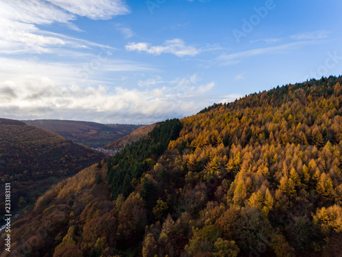 Aerial View of a Forest in Wales at Autumn