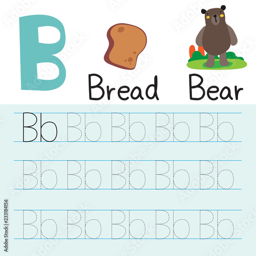 bear drawing line vector design