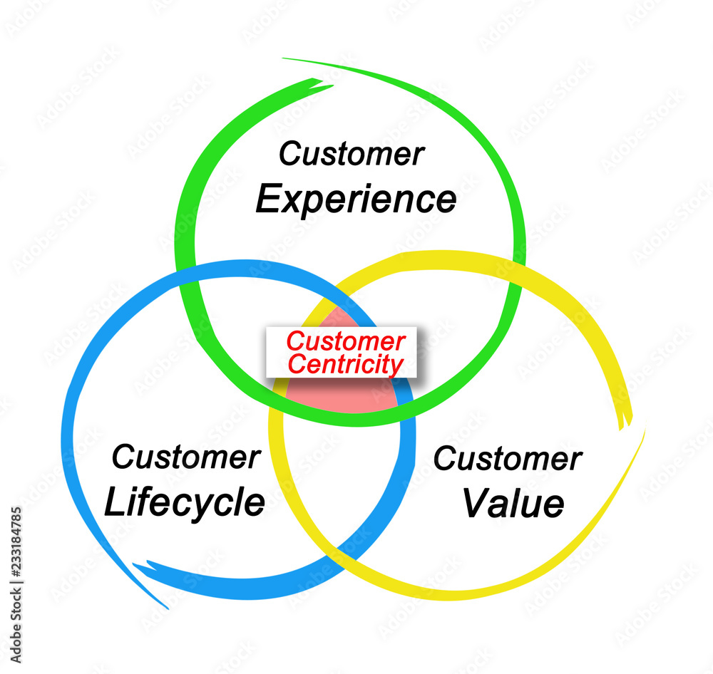 Principles of Customer Centricity Principles of Customer Centricity