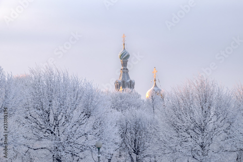 Russian Winter. The historical and tourist center of St. Petersburg. Sightseeing: view of the Church of the Savior on Blood from the Mikhailovsky Garden.