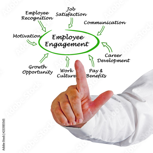 Drivers of Employee Engagement
