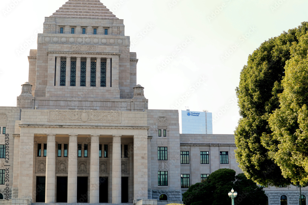 Obraz premium National Diet Building of Japan, Tokyo