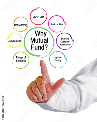 Why Mutual Fund