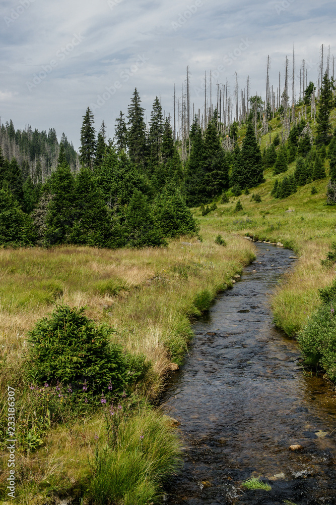 Obraz premium Krusne hory