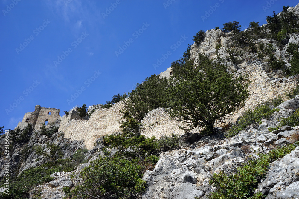 Ruins of castle