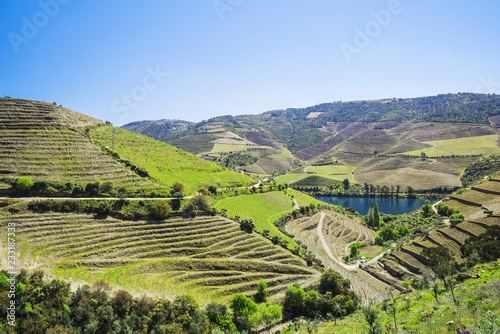Douro Valley. Vineyards and landscape near Pinhao town  Portugal