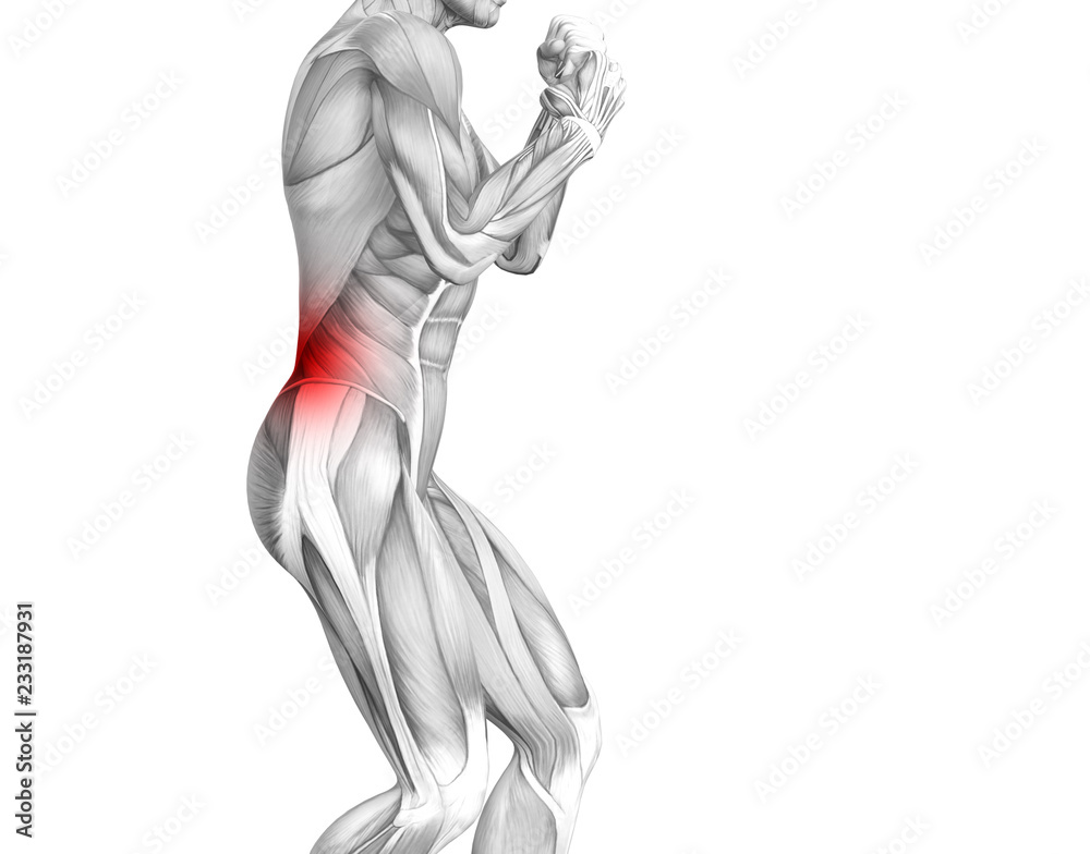 Obraz premium Conceptual back human anatomy with red hot spot inflammation articular joint pain or spine health care therapy or sport muscle concepts. 3D illustration man arthritis or bone sore osteoporosis disease